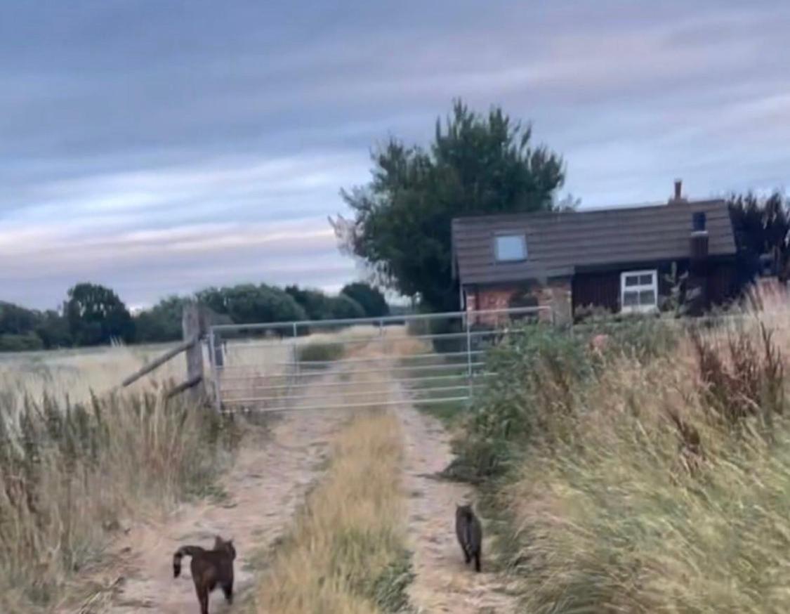 Lincoln Holiday Retreat Little House With Private Hot Tub 外观 照片